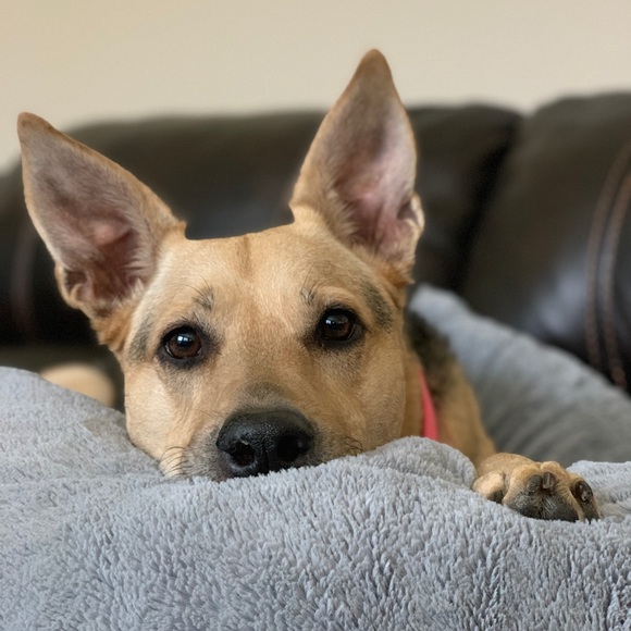 Meet your Posher, Marissa - Picture 1 of 1